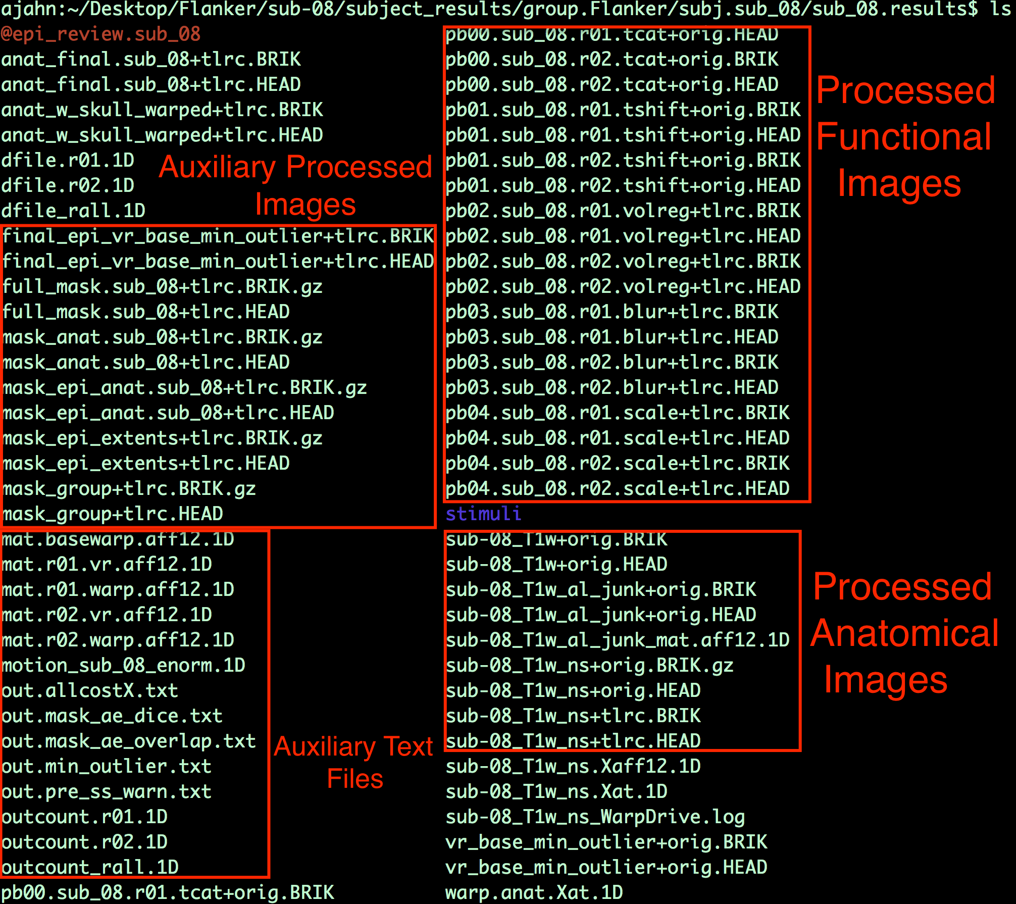 Preprocessing_Directory