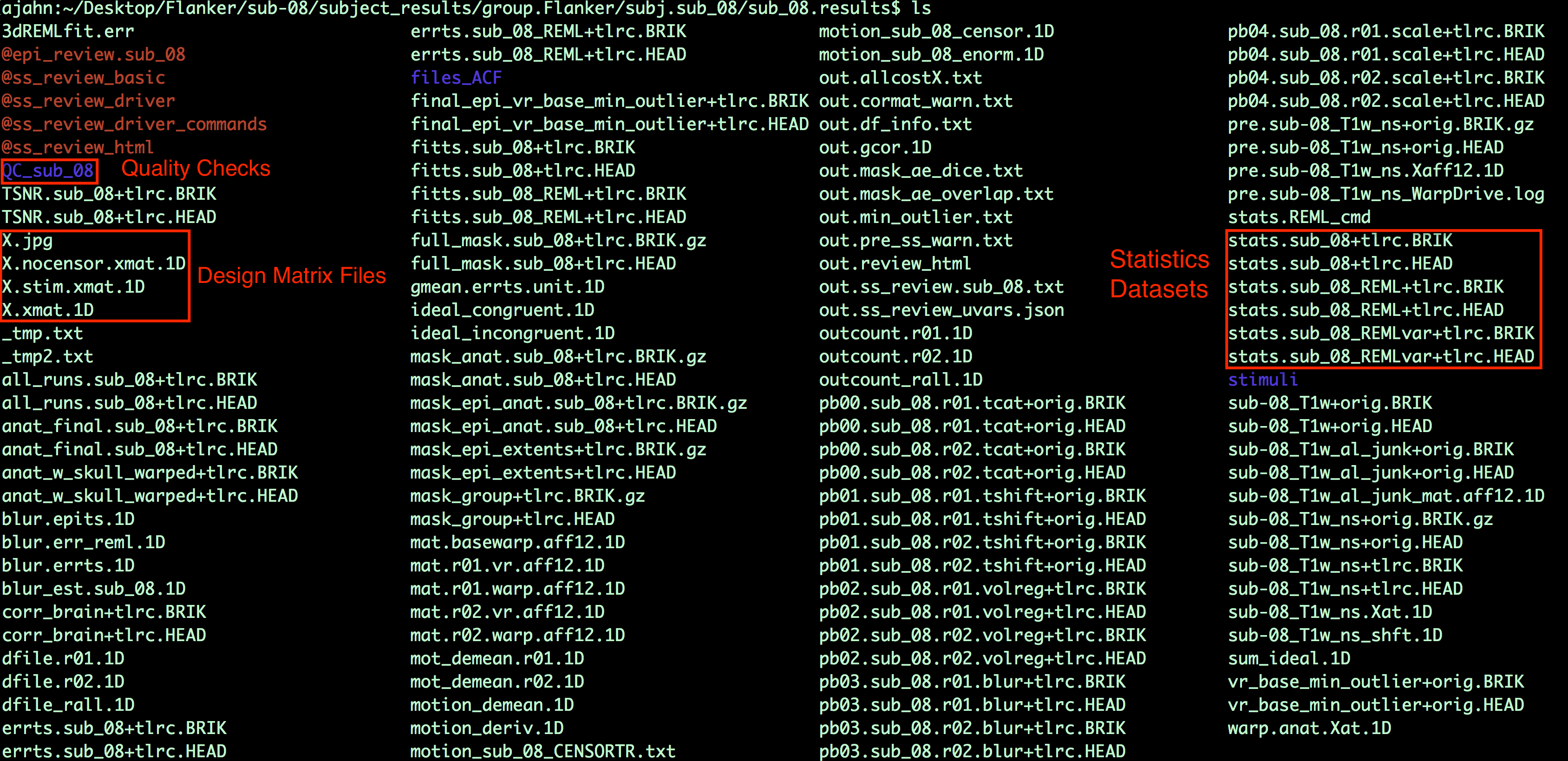 FirstLevel_Output